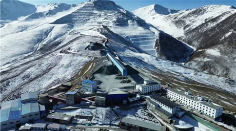 锚定目标稳前行 双过半里展担当——公司2025年“双过半”工作纪实