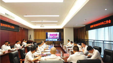 保持战略定力 坚定发展信心 锚定全年“满堂红” | 公司召开2025年半年工作会