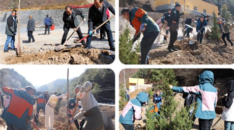 公司开展2024新春绿色行植树活动