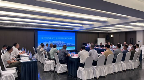 公司组织开展松树南沟金矿整体开发专题研讨会