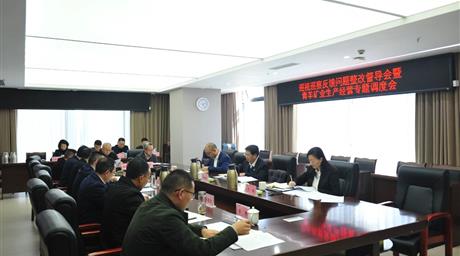 集团领导赴公司督导巡视巡察反馈问题整改并调度生产经营工作