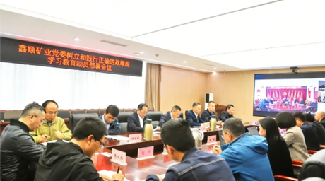 公司党委召开党委（扩大）会议 启动部署树立和践行正确政绩观学习教育