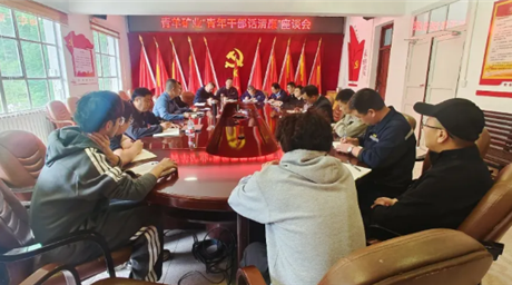公司“青年干部话清廉”座谈交流会在青羊矿业召开