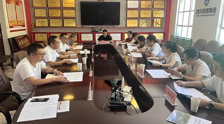 国家税务总局驻西安特派员办事处督导组赴青羊矿业调研督导税务合规工作
