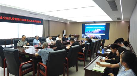 公司召开全面风险管理体系建设试点动员部署会